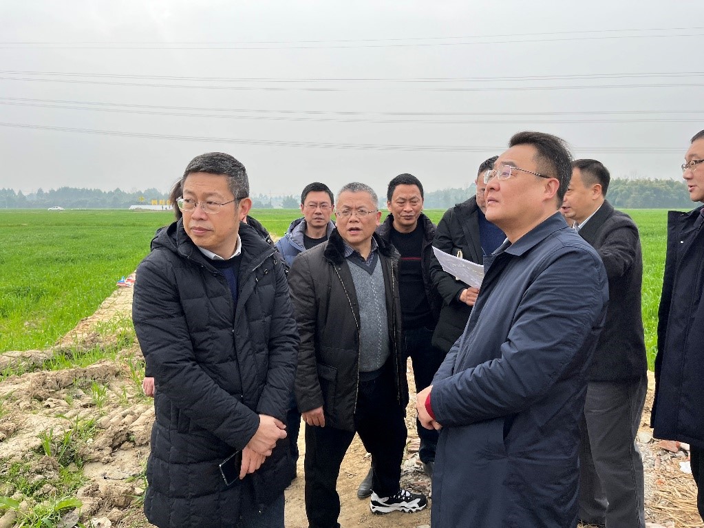 省社、省供投集團(tuán)領(lǐng)導(dǎo)調(diào)研青白江區(qū)四川現(xiàn)代供銷(xiāo)種業(yè)園區(qū)