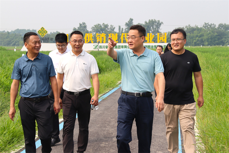 鄧華帶隊(duì)到四川供銷糧油青白江種植基地、好世紀(jì)倉儲(chǔ)龍泉庫調(diào)研