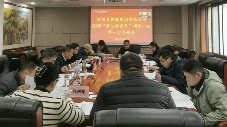 集團公司召開2025“清欠收官年”領(lǐng)導小組第一次專題會