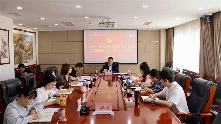 集團公司召開2025年第15次黨委（擴大）會議