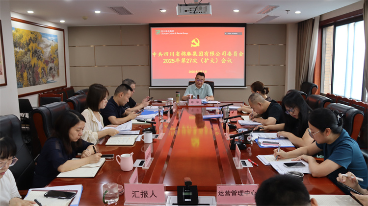 集團(tuán)公司召開2025年第27次黨委（擴(kuò)大）會(huì)議