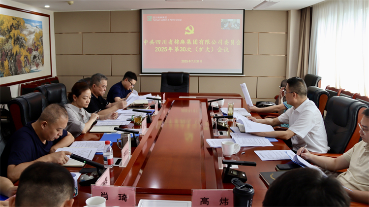 集團(tuán)公司召開2025年第30次黨委（擴(kuò)大）會(huì)議