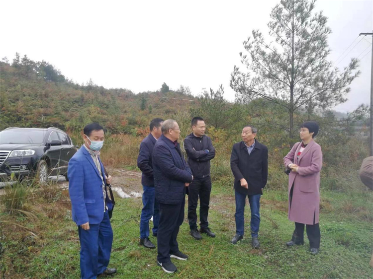 1668648382137536.jpg 舊院2.jpg