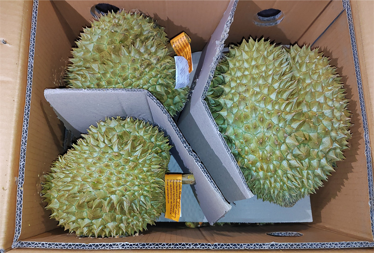 1683473747444261.jpg 微信圖片_20230505113151_副本.jpg