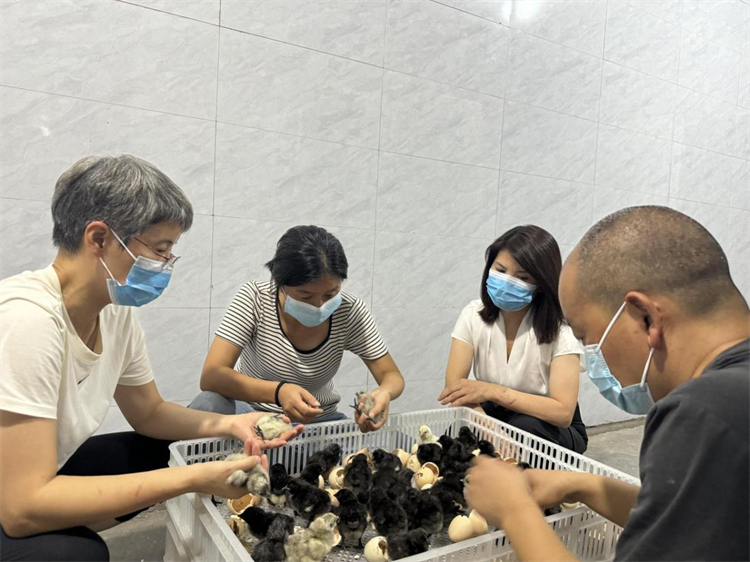 1726039801877537.jpg mtxx03.jpg